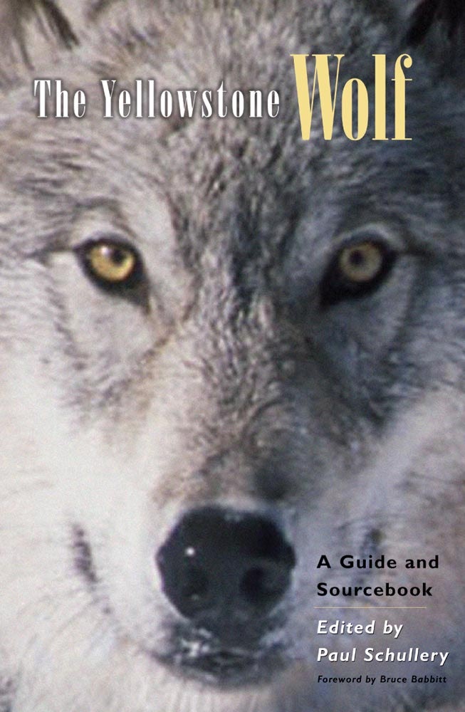 BurnStencil® - Wolf (Howling)