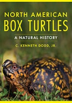 North American Box Turtles