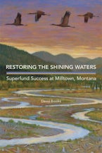 Restoring the Shining Waters