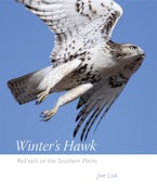 Winter’s Hawk